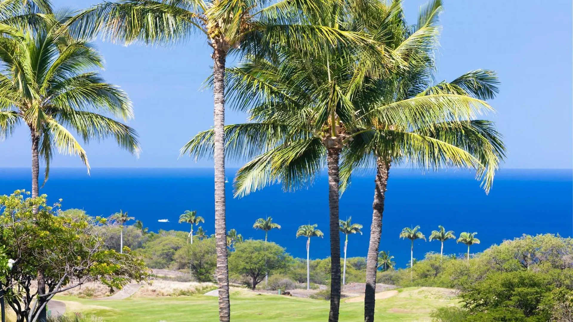 A Sea-Nic Escape Scenic 3Br Waiulaula Home With Ocean View Hapuna Beach Apartment