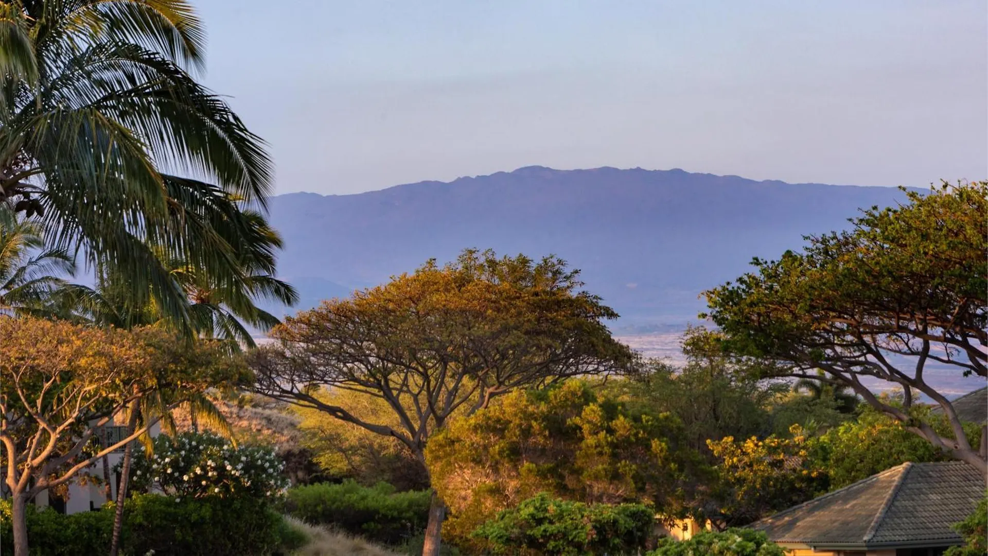 A Sea-Nic Escape Scenic 3Br Waiulaula Home With Ocean View Hapuna Beach