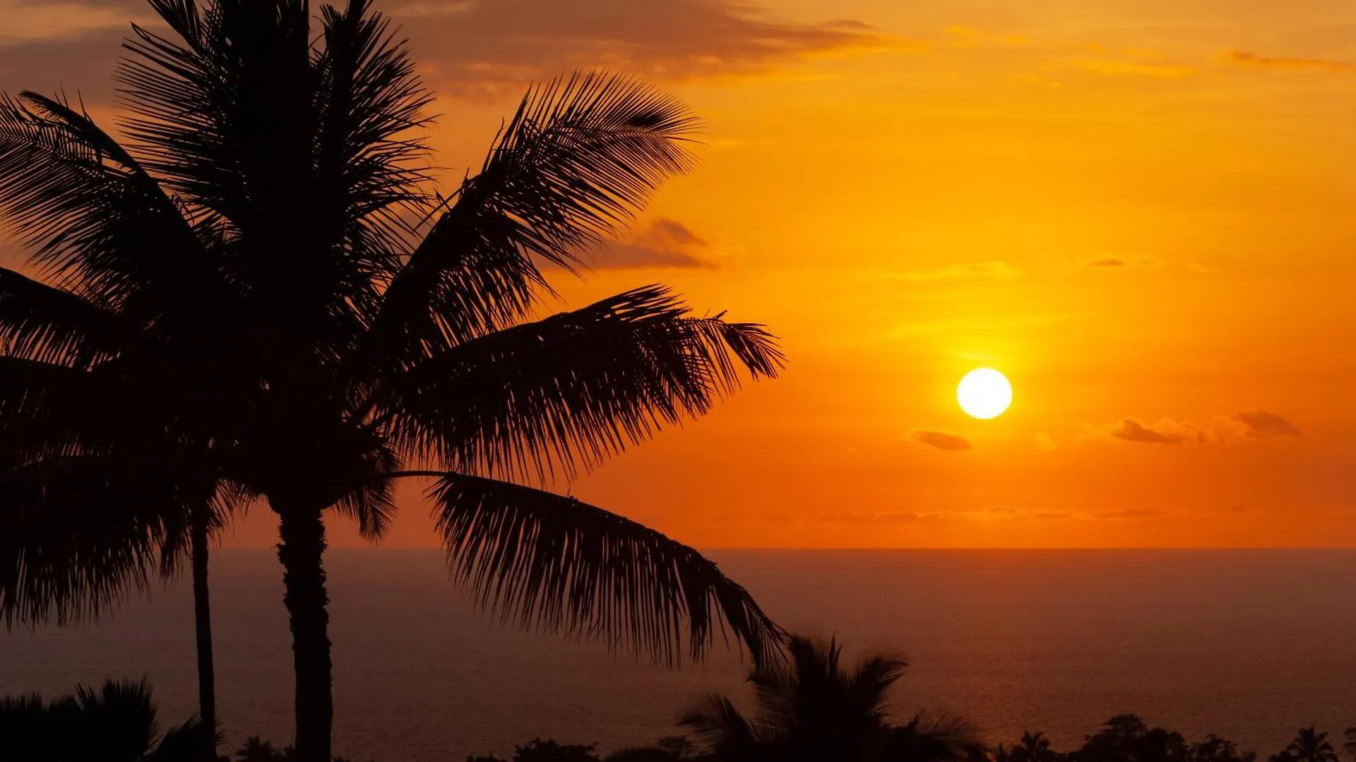 A Sea-Nic Escape Scenic 3Br Waiulaula Home With Ocean View Hapuna Beach